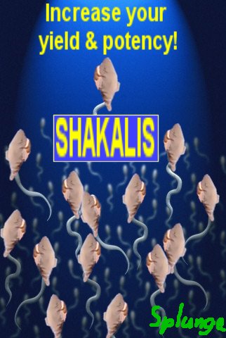 shakalis