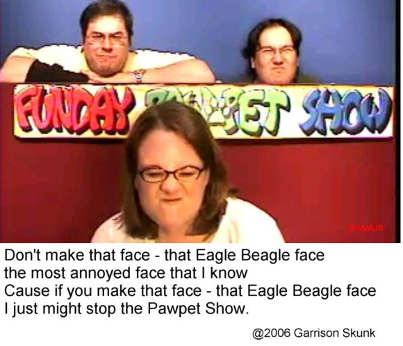 That_eagle_beagle_face
