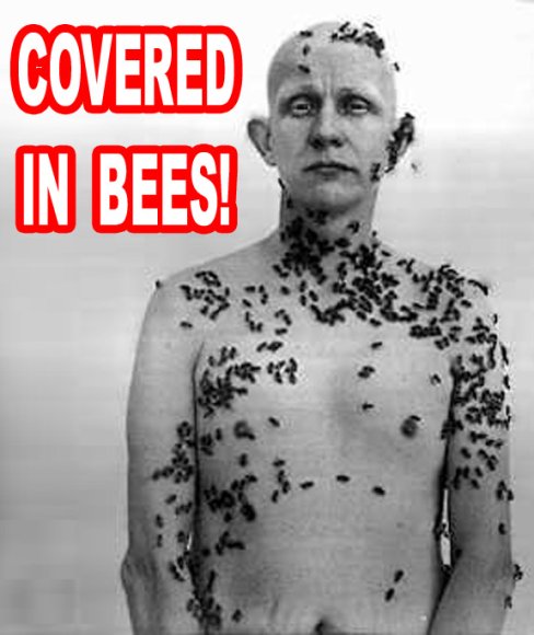 beekeeper-2