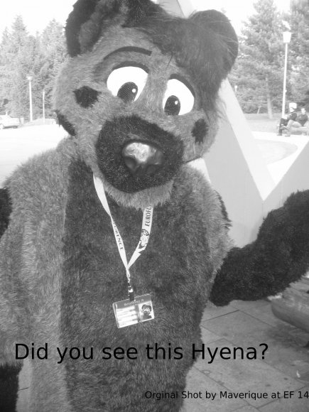Maverique-did_you_see_this_Hyena