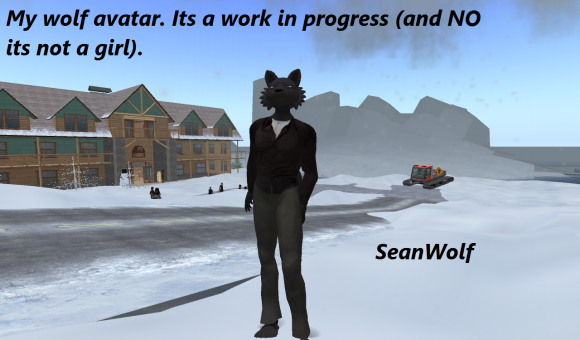 SeanWolf-Snapshot_My_wolf_avatar_0012