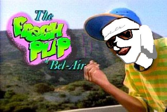 Anonymous-the-fresh-prince-of-bel-air_324x218