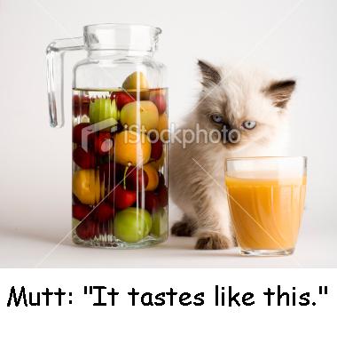 Anonymous-ist2_6709380-fruit-juice-and-cat