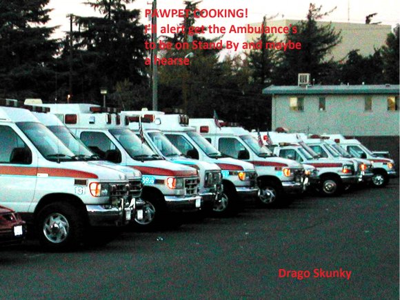 drago_skunk-ambulance