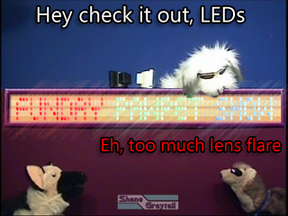 Shane_Graytail-LEDs
