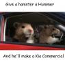 Kia_Soul_Hamsters