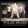 Fred_Bedderhead-polar-bears-polar-bear