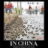Anonymous-demotivational-posters-in-china