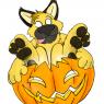 Anonymous-funday_pawpet_blitz_in_a_pumpkin
