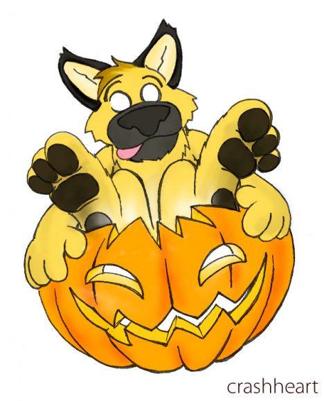 Anonymous-funday_pawpet_blitz_in_a_pumpkin