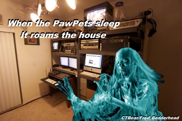 Anonymous-Pawpets_Ghost