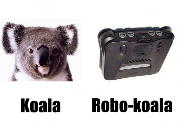 Anonymous-koala