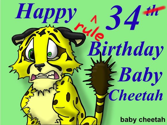 Baby_Cheetah-cheetah_bday
