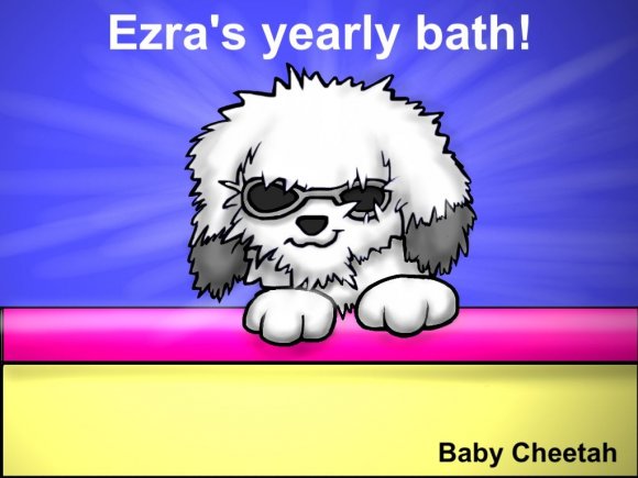 Baby_Cheetah-ezra_bath