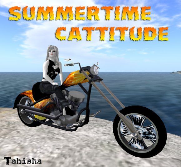 Tahisha-Summertime_Cattitude_3