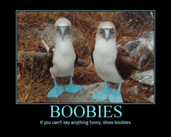 if-you-cant-say-anything-funny-show-boobies