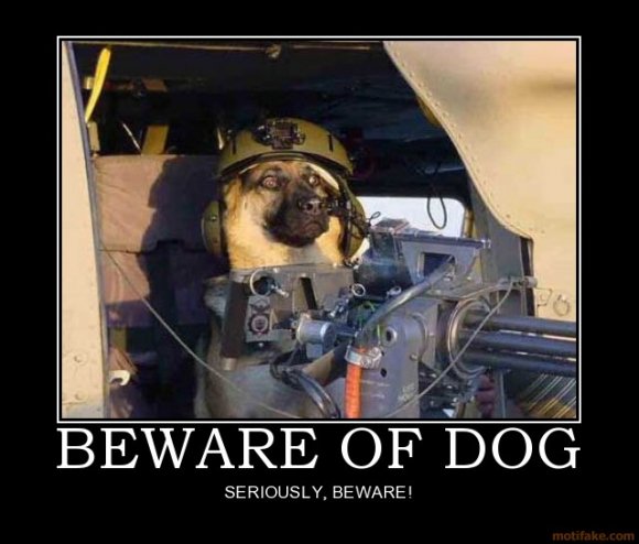 beware-of-dog-demotivational-poster-1254500798