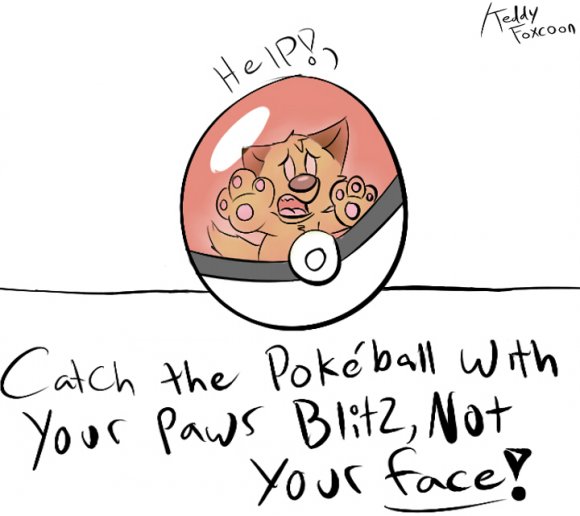 Blitz Pokeball