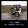 Smart Car Vrs. Deer