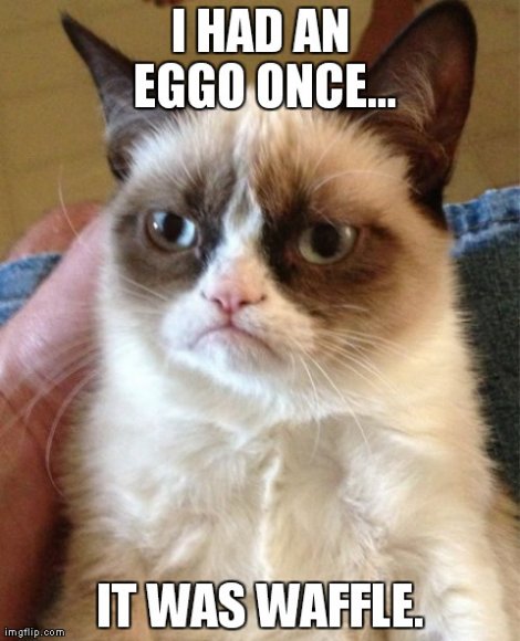 Grumpy Eggo