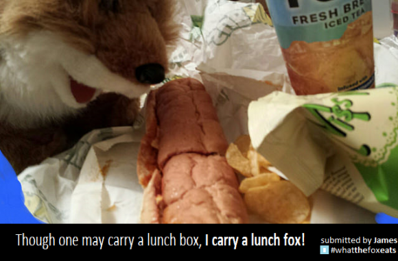 lunch fox
