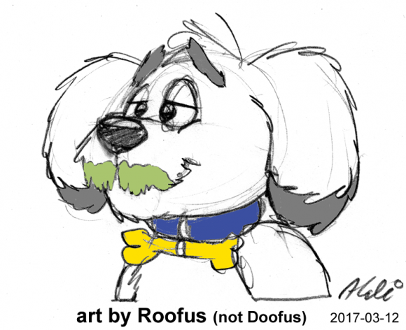 Roofus Roo - 2017-03-12_01 Muttstache