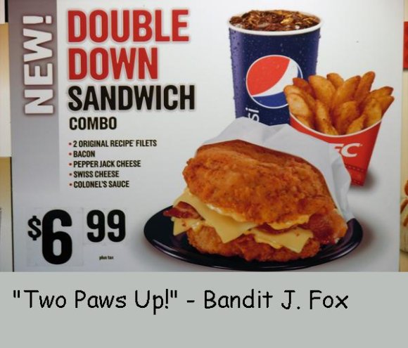 Anonymous-kfc-double-down-sandwich