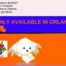 final_orlando_pawpet_01