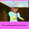 Ambiguously_gay_ferrets