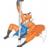 pole_voop_colored