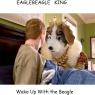 Wake_up_with_the_beagle