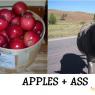 apples_and_ass