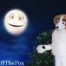 eaglebeaglemoon