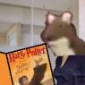 lilly_harry_potter_toilet
