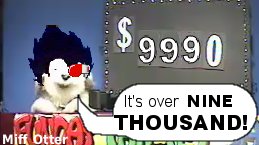 vegeta-mfrt