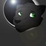 Da-Fox-1st_draw_photoshop