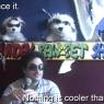 The_Sonic_God-nothingcooler_by_thesonicgo