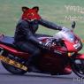 Miff_Otter-yappy-cycle