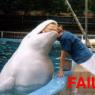 Anonymous-sea-world-fail