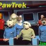 Junowolf-Pawpetcrew_copy