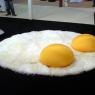 Anonymous-sunnyside_shag_egg