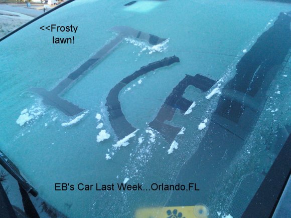 EB-icewin-txt