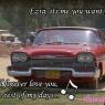 Shane_Graytail-CarWish