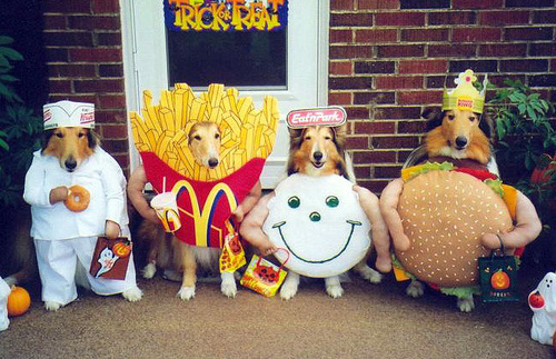 Anonymous-Dog_fast_food