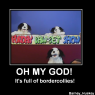 Barney_Husky-bordercollies2