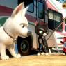 Anonymous-yappy_bolt