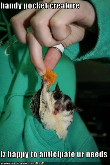Anonymous-funny-pictures-handy-pocket-creature-cheez-it