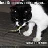 Anonymous-funny-pictures-just15minutes-geico