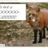 Jcollie719-FoxToomah