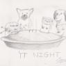 Squire-Pie_night